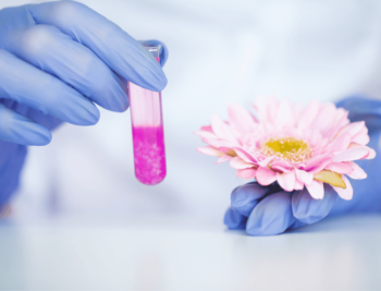 Cosmetic raw materials Algeria